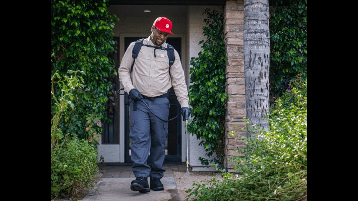 Phoenix Pest & Termite Control