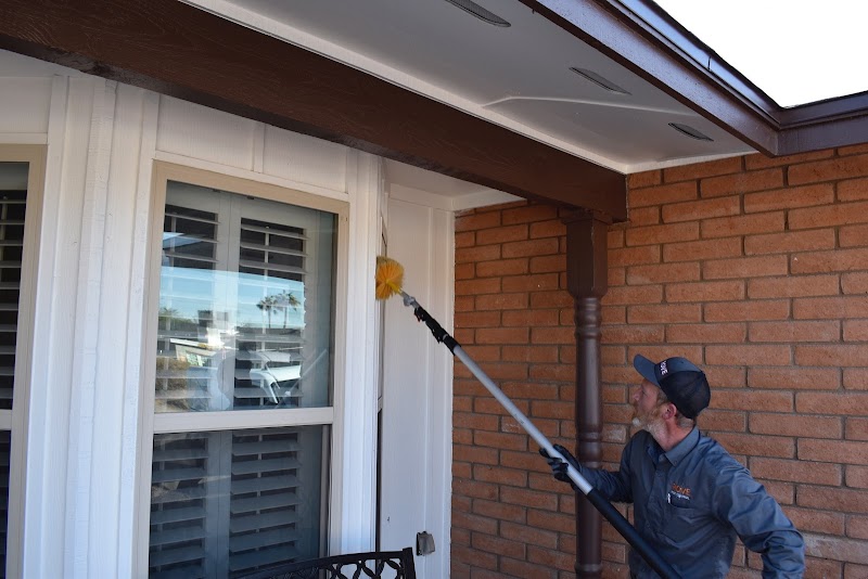 Rove Pest Control