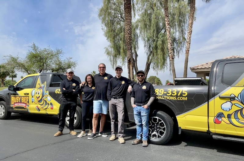 Busy Bee Pest Solutions