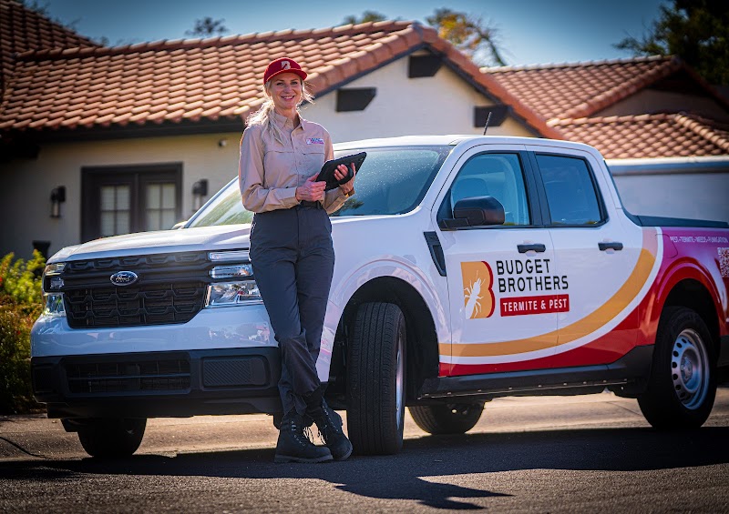 Budget Brothers Termite & Pest Elimination