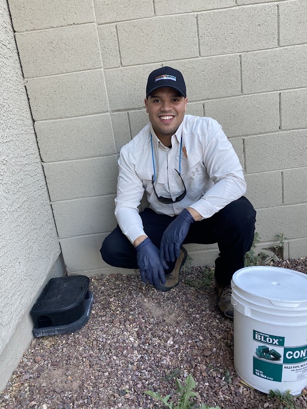 Copper State Pest Management