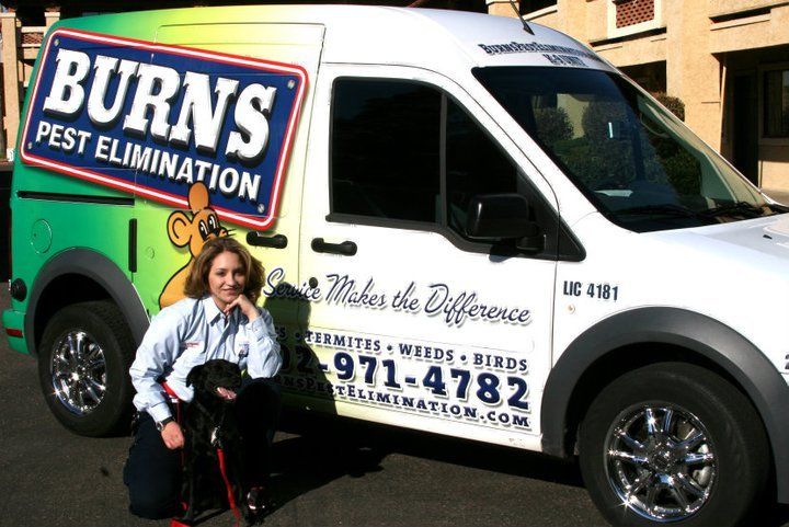 Burns Pest Elimination
