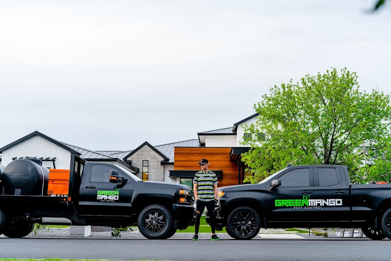 Green Mango Pest Control - Chandler