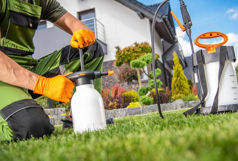1st Pest Control Phoenix