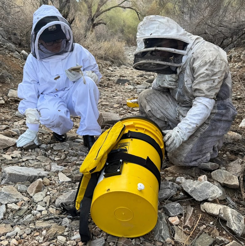 Busy Bee Pest Solutions