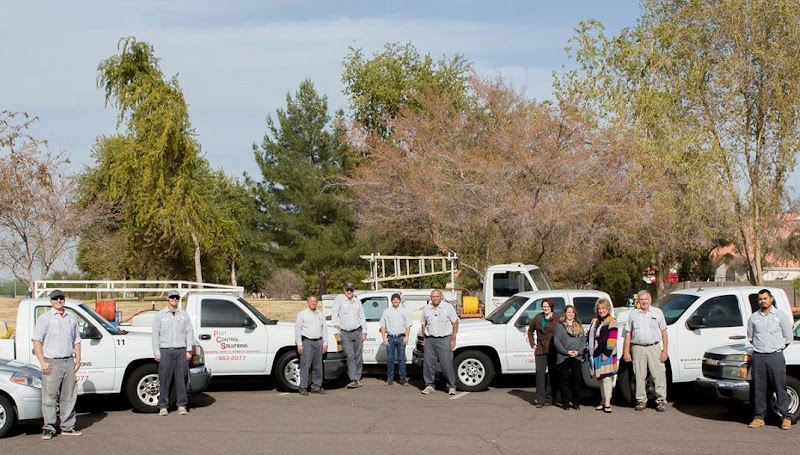 Pest Control Solutions