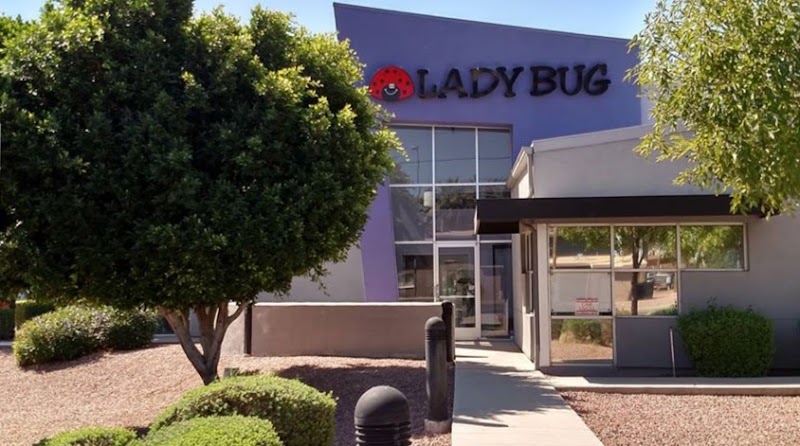 Lady Bug Eco-Friendly Pest Control