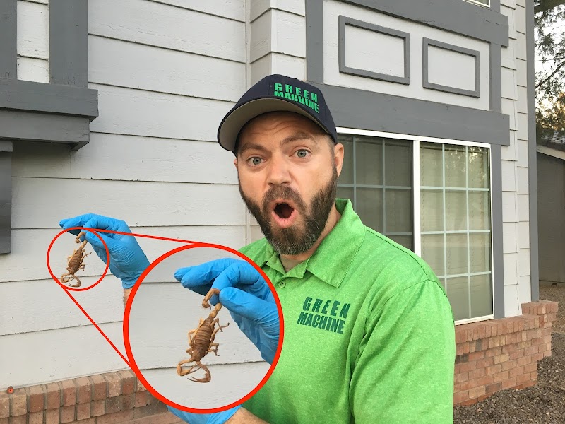 Green Machine Pest Control