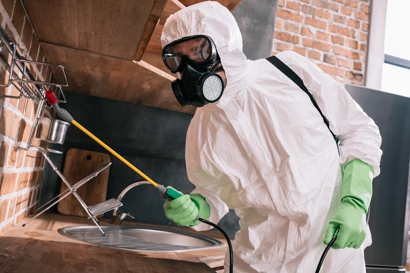 EzFix Exterminators Mesa