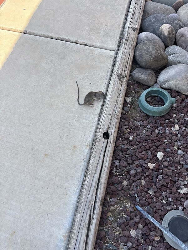 Family First Pest Control