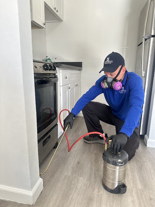 Blackwood Pest Solutions