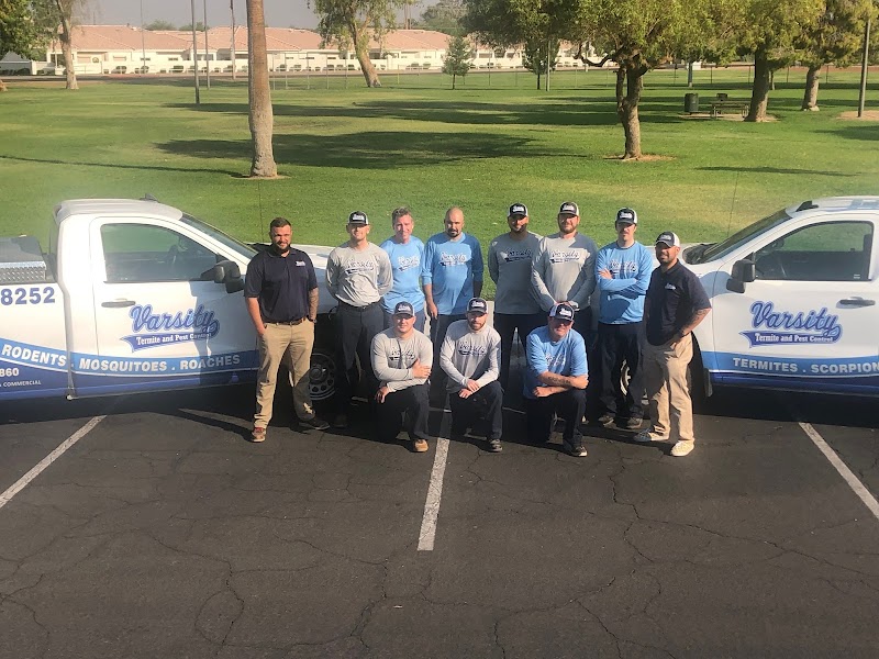 Varsity Termite and Pest Control Gilbert