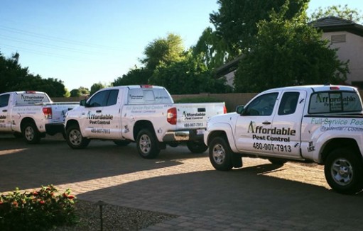 Affordable Pest Control
