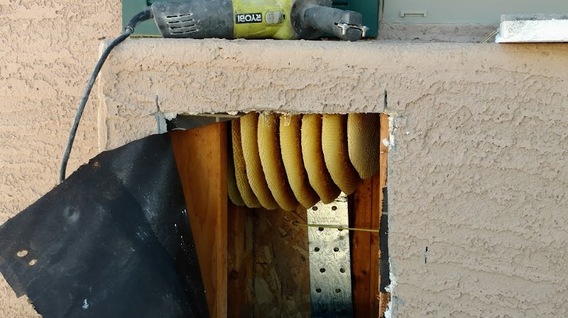 The Beehive Bee and Wasp Removal