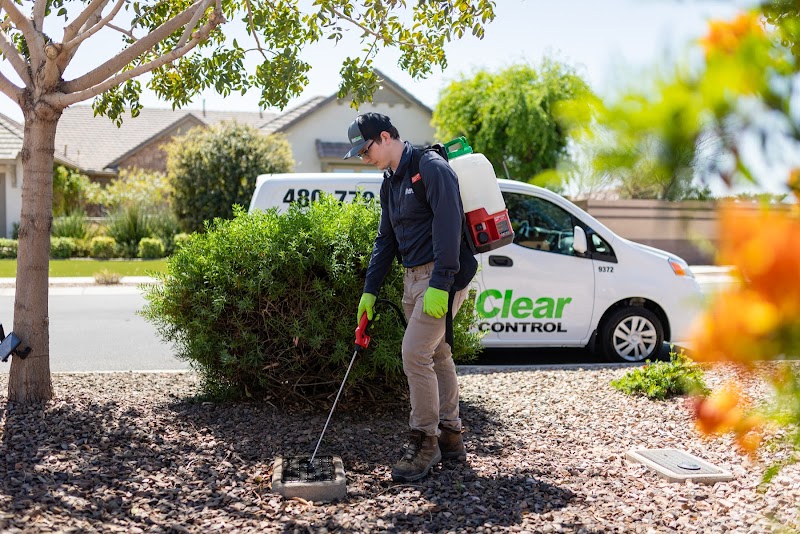All Clear Pest Control