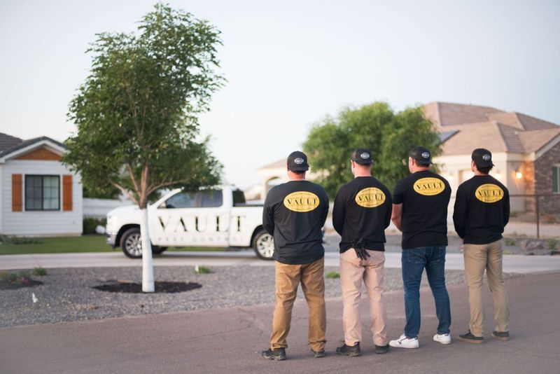 Vault Pest Control and Termite