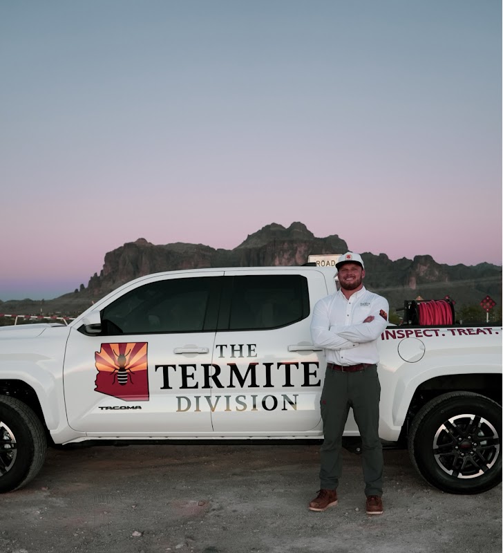 The Termite Division
