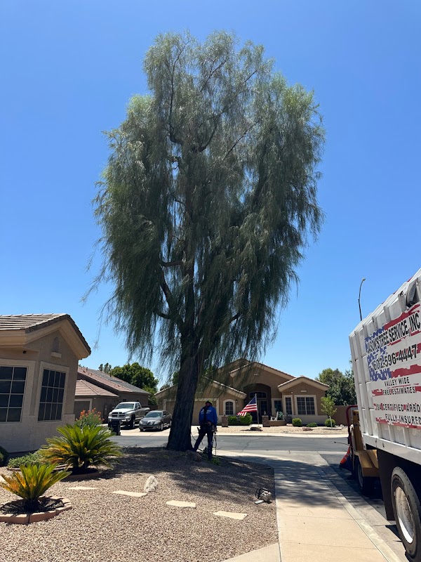 Jason's Tree Service