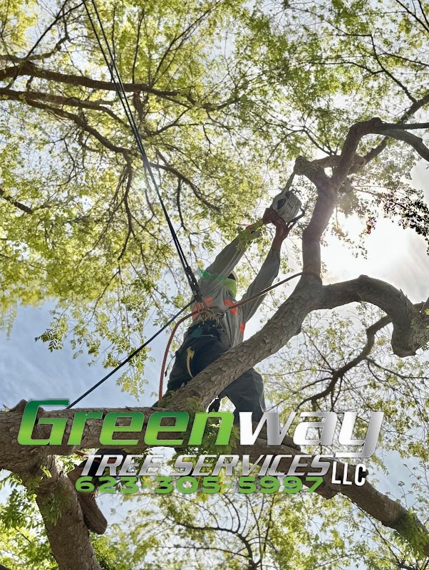 Greenway Tree service LLC