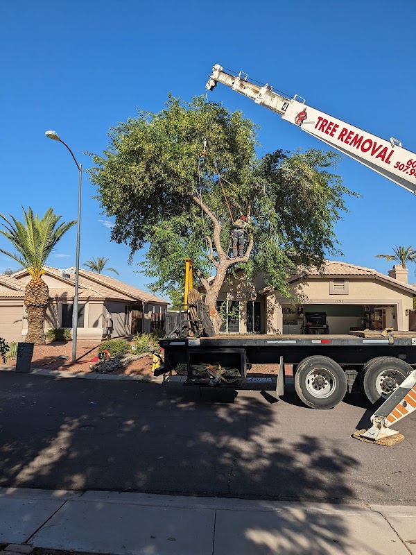 Hayward Tree Service