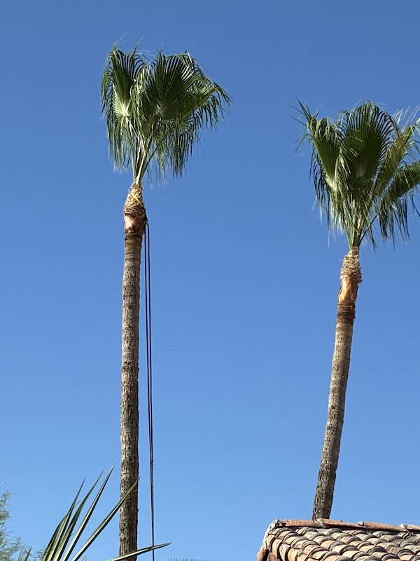 Premium Tree Care LLC