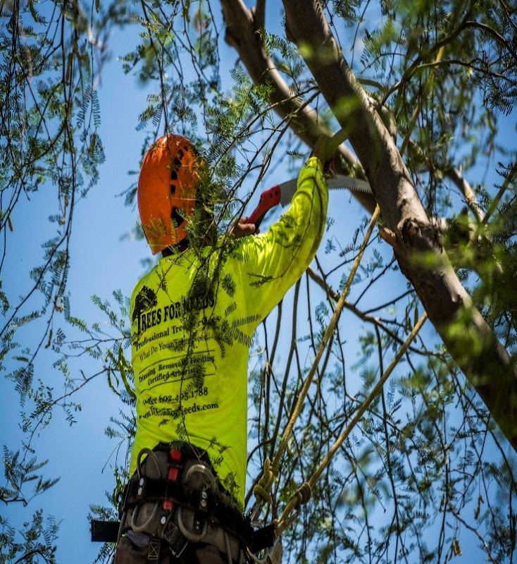 Trees For Needs