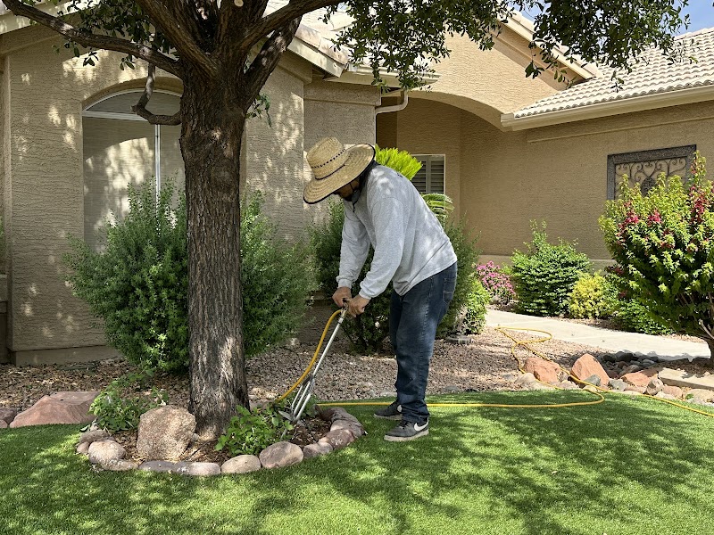 CERTIFIED TREE HEALTH SPECIALIST