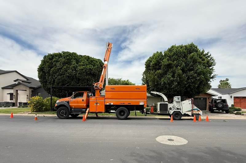 H&R Tree Services LLC