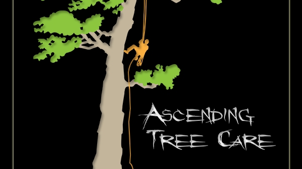 Ascending Tree Care