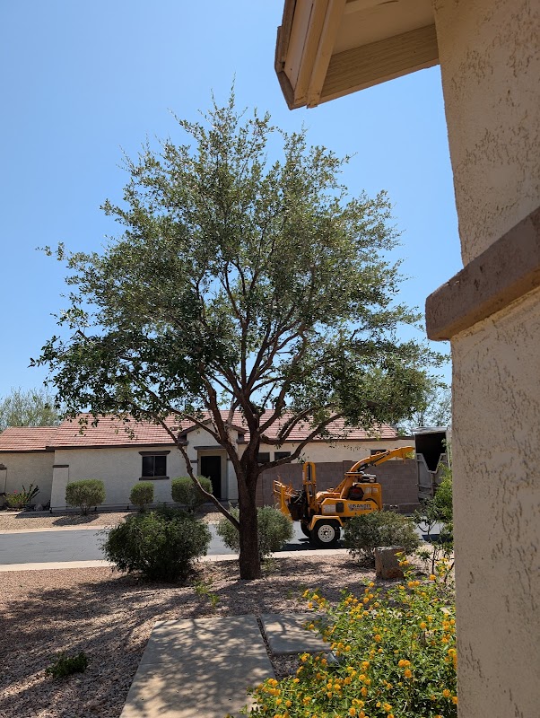Heartwood Tree Care