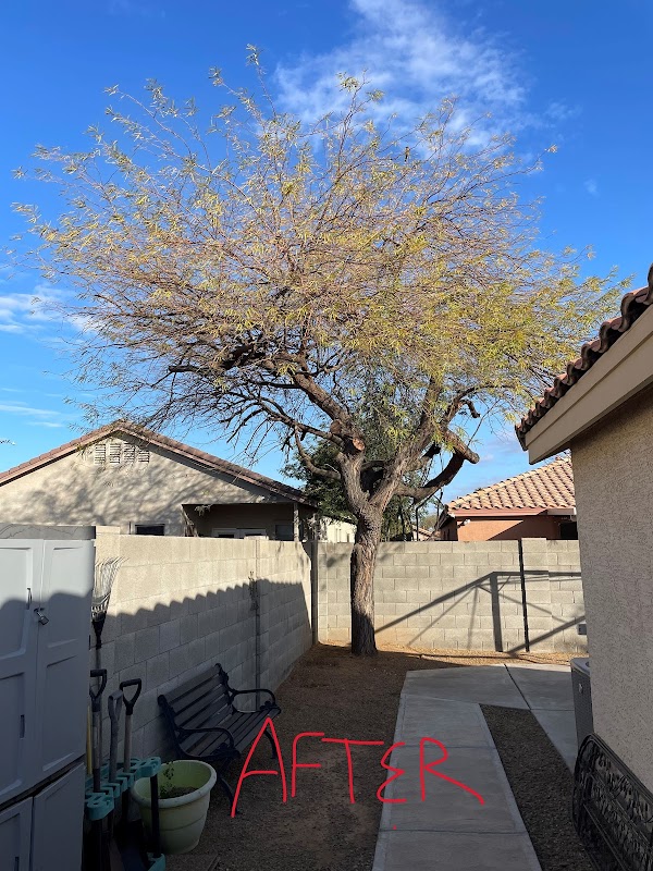 ArborCraft Tree Service