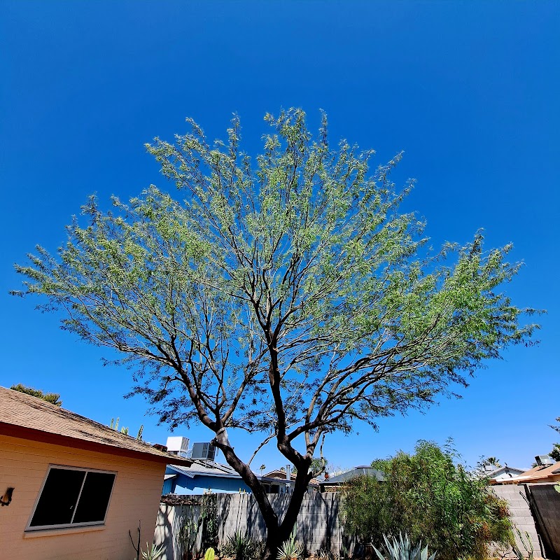 Top Leaf Tree Service