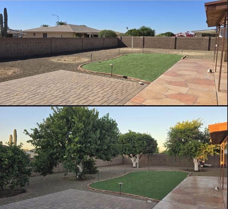 Mesa Tree Removal