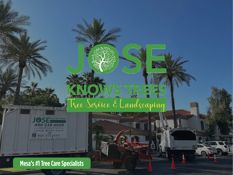 Jose Knows Trees