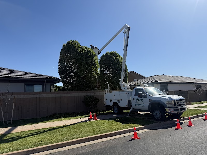 The Oasis Tree Service