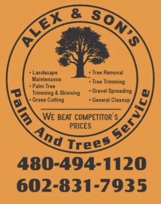 Alex and son's palm and tree service