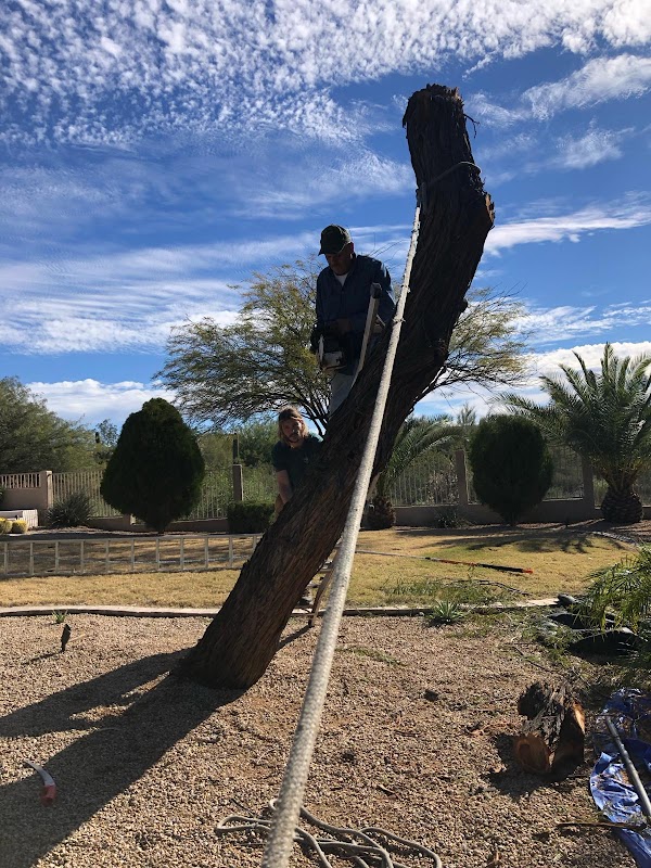 Grove Tree Removal and Landscaping