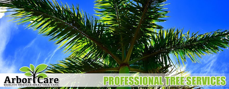 Arbor Care Tree Service