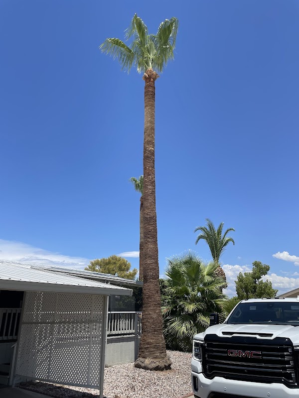 Turner's Tree Trimming and Removal Service
