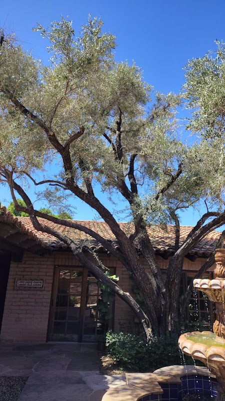 ArborCraft Tree Service