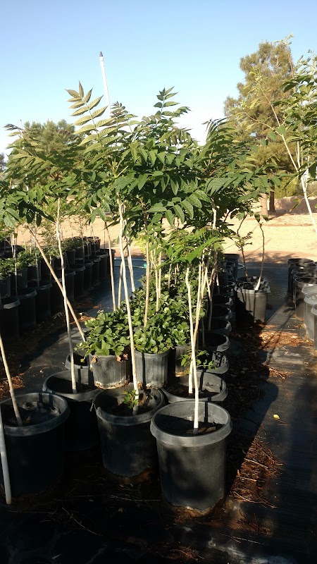 Scotty's Tree Farm LLC