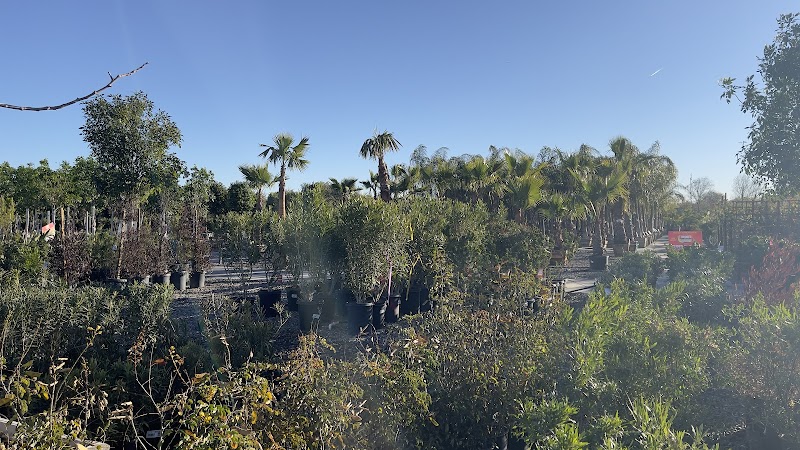 Moon Valley Nurseries