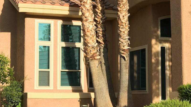 Universal Windows Direct Phoenix