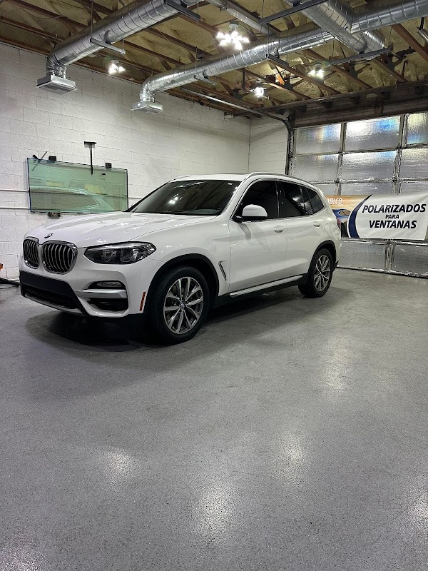 Precision Cut Window Tint