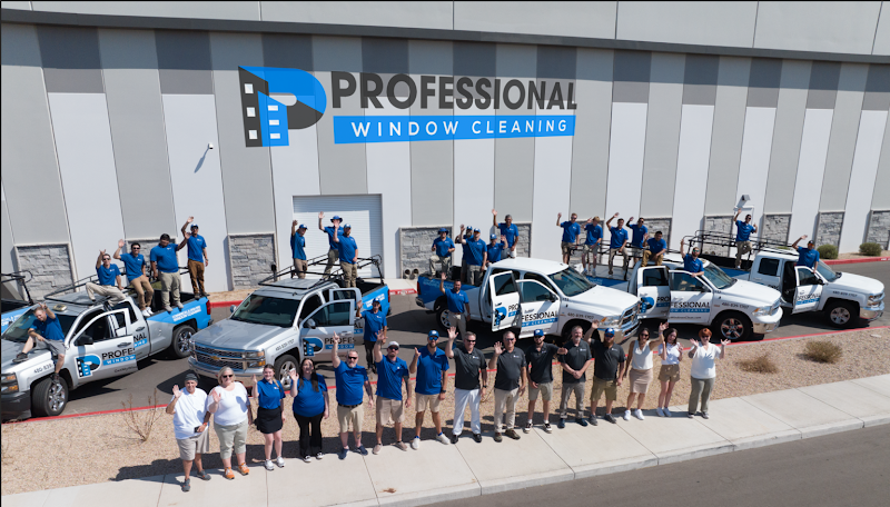 Professional Window Cleaning