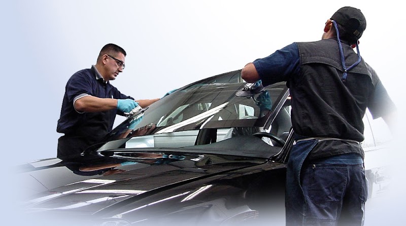 Dynamic Auto Glass