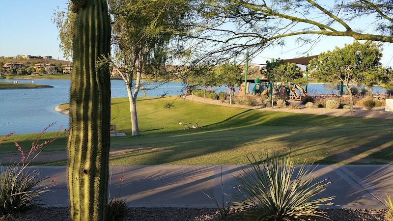 Town of Fountain Hills Community Services Department