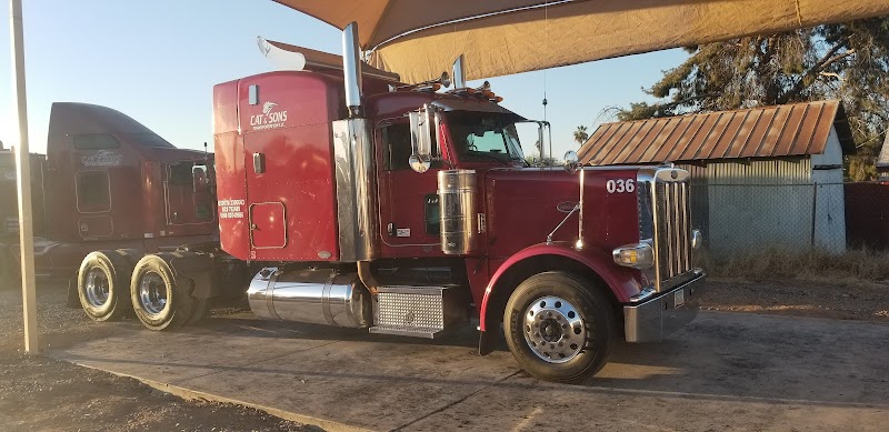 Cat and Sons Transportation Llc