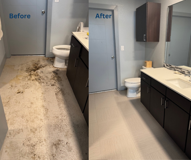 Neat N Tidy House Cleaning of Scottsdale