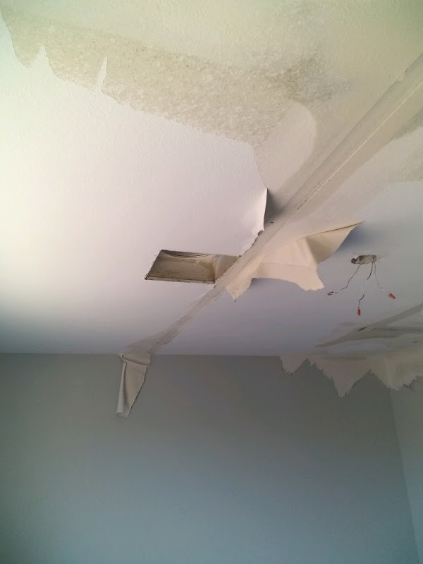 Castile Roofing